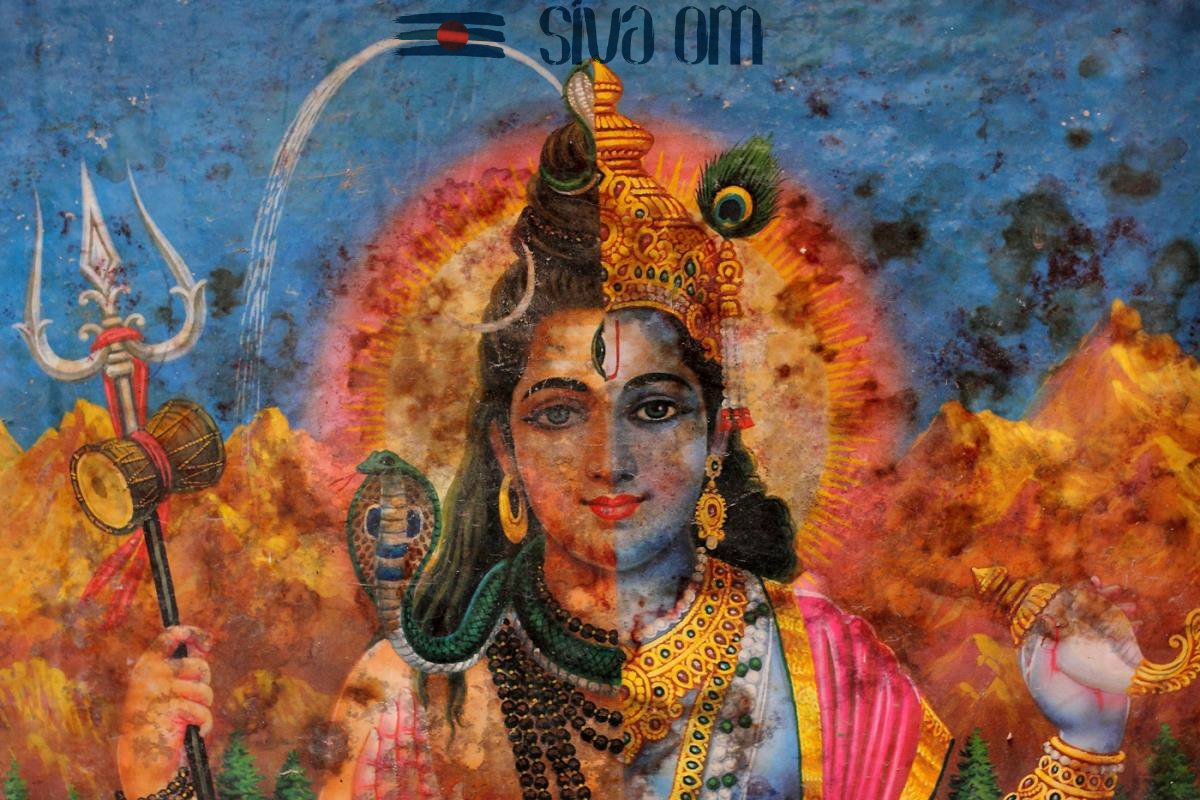 Free lord shiva - Vector Art