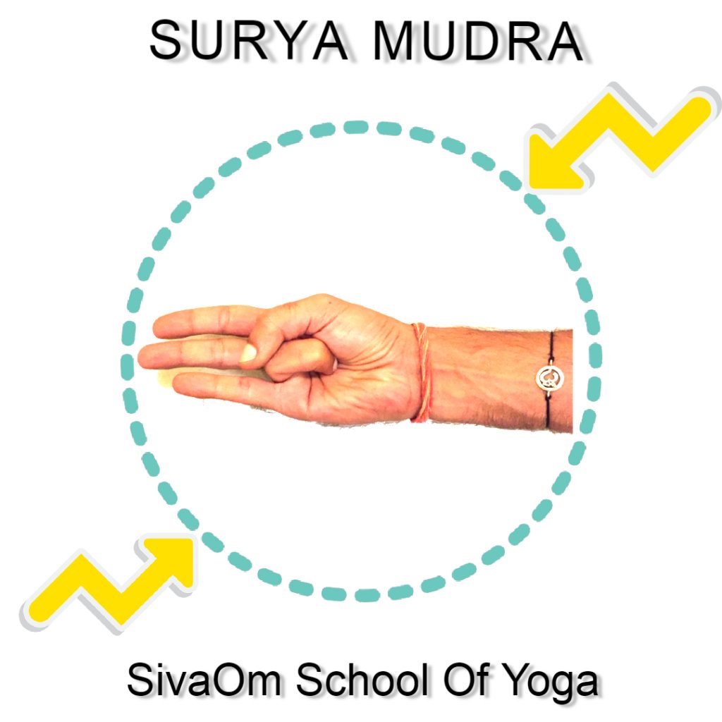 surya mudra sivaom yoga